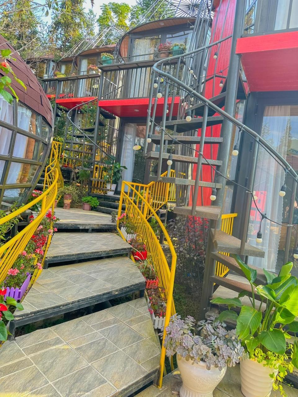 Plum Homestay Dong Van  Exterior photo